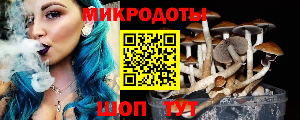 Псилоцибиновые грибы ЛСД Ялта