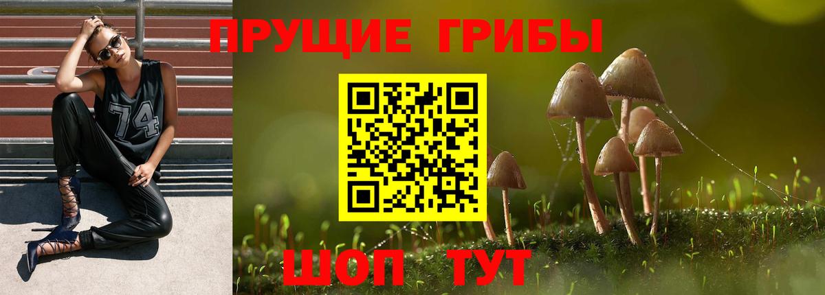 Галлюциногенные грибы Psilocybe  Вход с VPN  продажа наркотиков  Ялта 